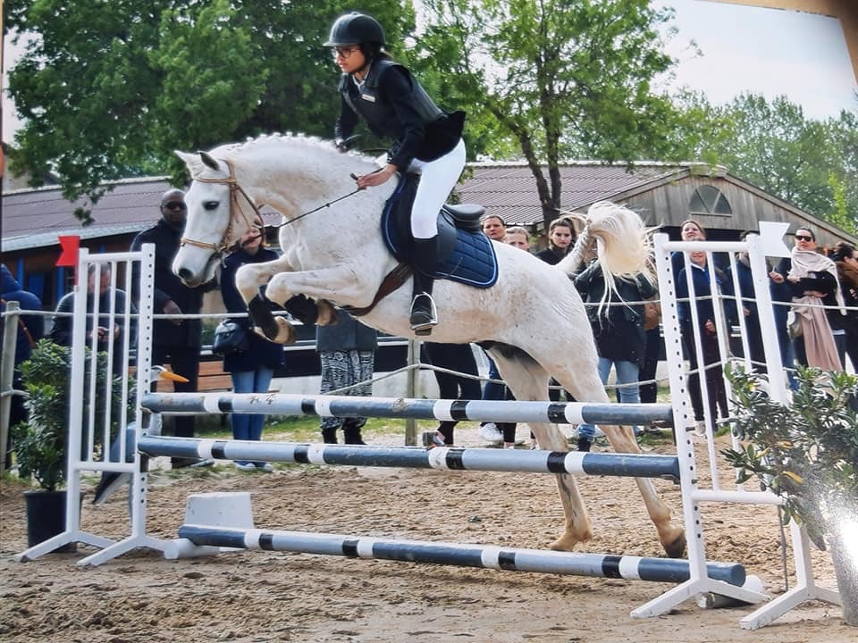 Journée à thèmes au centre équestre st jean equitation